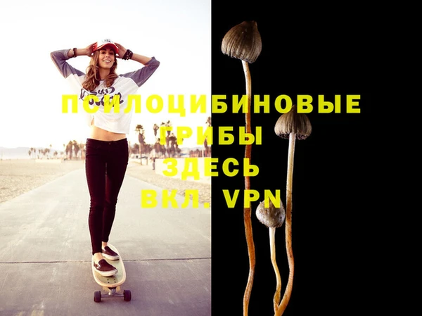 PSILOCYBIN Баксан