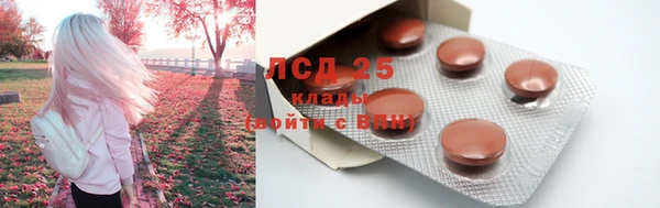 PSILOCYBIN Баксан