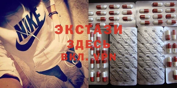 шишки Надым