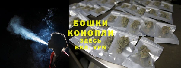 PSILOCYBIN Баксан