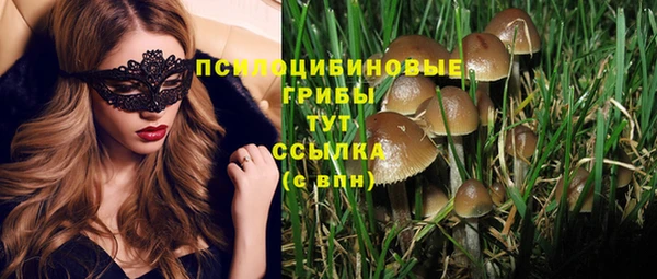PSILOCYBIN Баксан