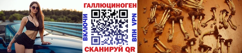 Псилоцибиновые грибы мицелий  маркетплейс официальный сайт  Ужур 